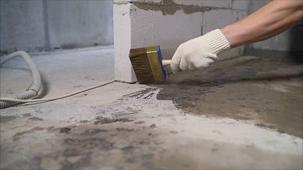 SJ Waterproofing Pros Interior Drainage System coverage map for Stanton, MI and surrounding area